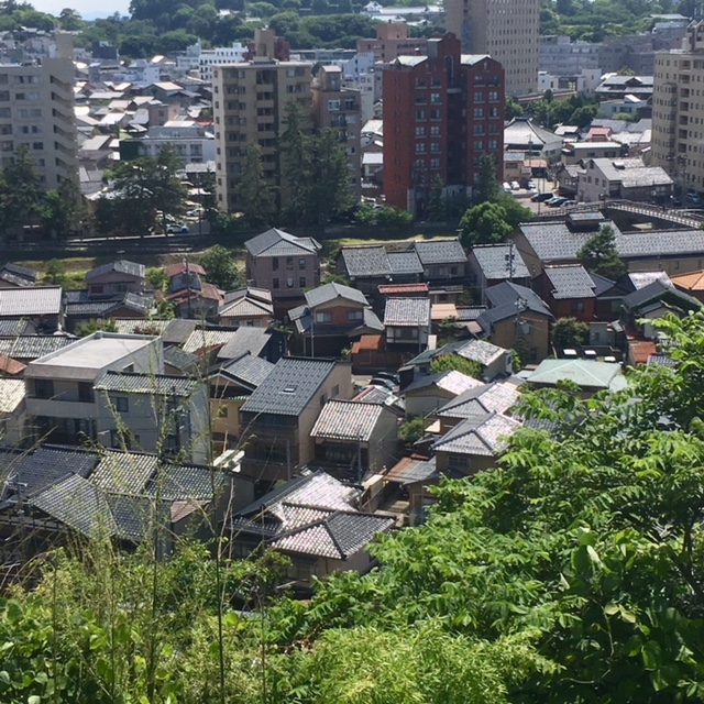 東山一望