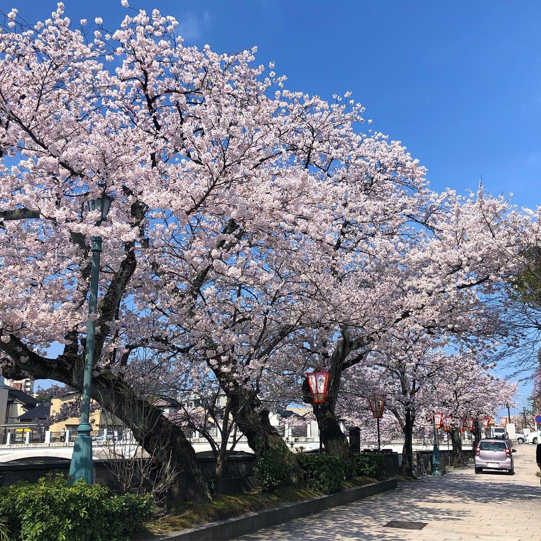 1F0935A1-CAF4-4A3D-9EC8-4EF70086FD7F