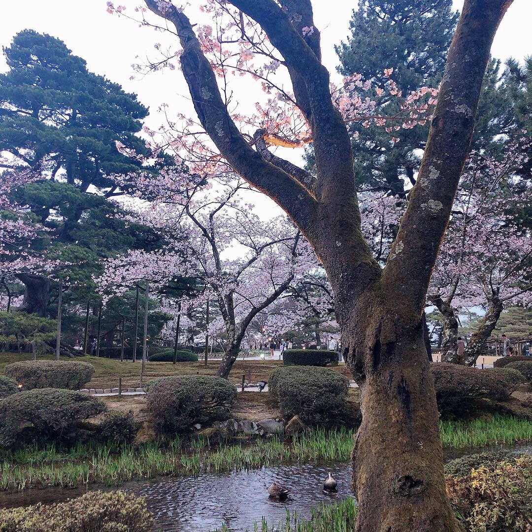 B5524303-F30F-42AF-ABC1-3E43E1B189DC