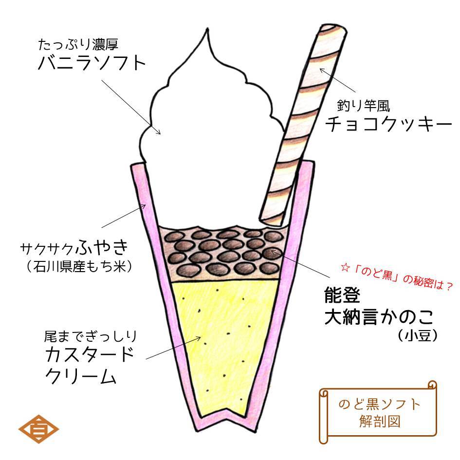 ソフト断面図